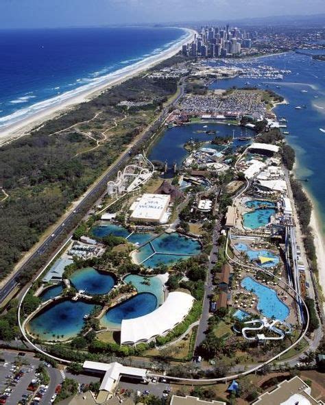 Seaworld gold coast | Coast australia, Sea world, Gold coast australia