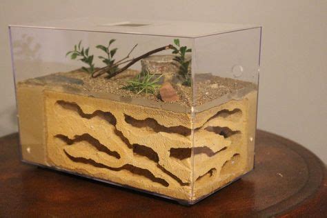 17 Best DIY Ant Farm images | Ants, Formicarium, Ant habitat