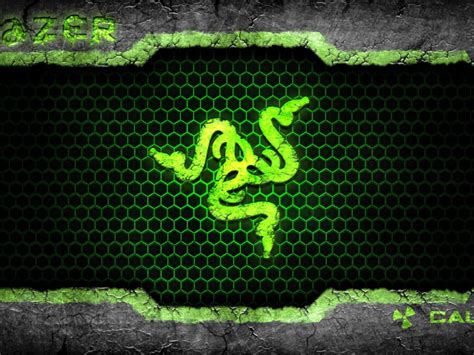 Icon of the snakes of Razer wallpapers and images - wallpapers, pictures, photos