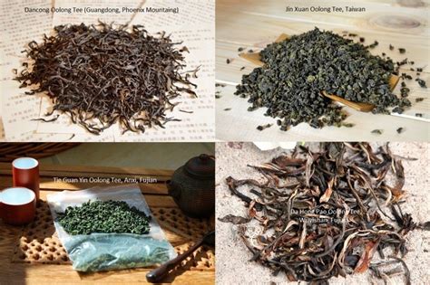 siamteas Lesson 8/4 : Oolong Tea Processing - siamteas