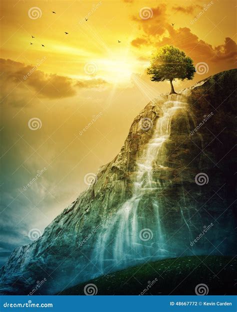 Waterfall Tree Stock Photo - Image: 48667772