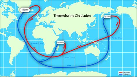 Jessica McCollum: Thermohaline Circulation Map