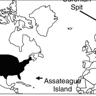 Location of study sites: Assateague Island National Seashore, a barrier... | Download Scientific ...