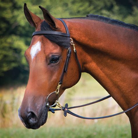 Premier Arabian Training Bridle in Western at Schneider Saddlery