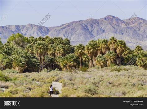 Coachella Valley Image & Photo (Free Trial) | Bigstock