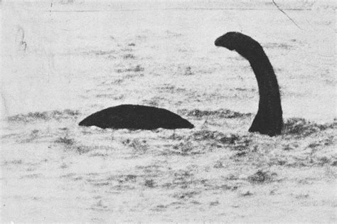 Can of Mystery: “Nessie” the Loch Ness Monster