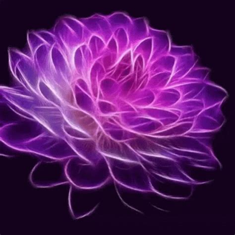 Flower Violet GIF - Flower Violet Spinning - Discover & Share GIFs