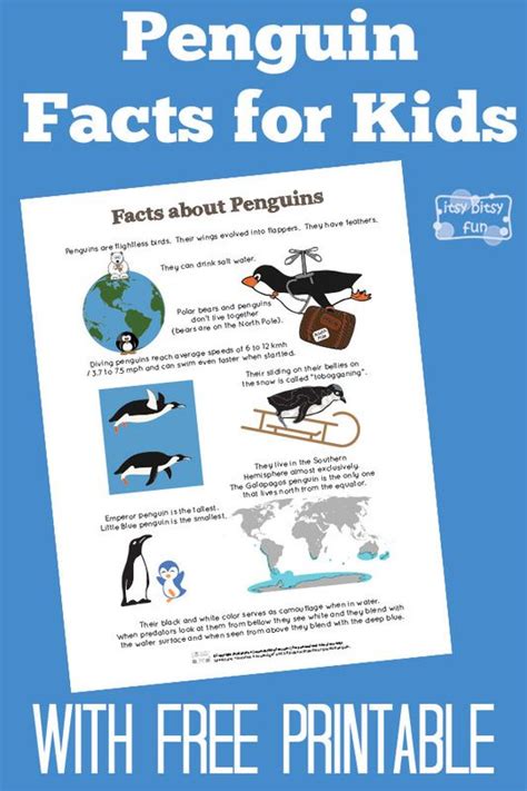 Penguin facts for kids – Artofit