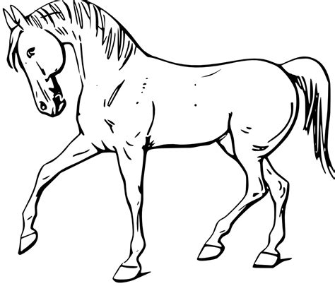 Free Horse Outline Images, Download Free Horse Outline Images png ...