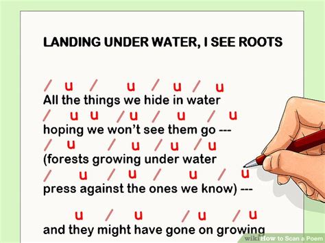 How to Scan a Poem: 10 Steps (with Pictures) - wikiHow