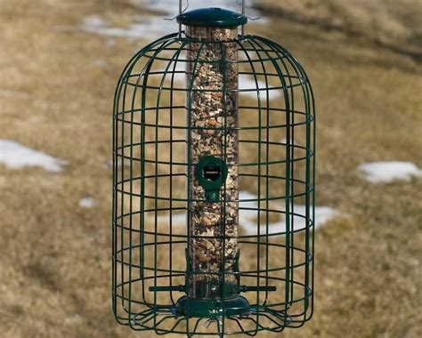 6 Squirrel Proof Bird Feeders [That ACTUALLY Work!] - Bird Watching HQ