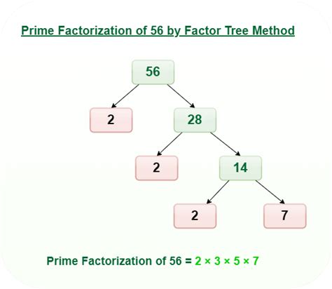 Prime Factorization Methods, Definition & Examples