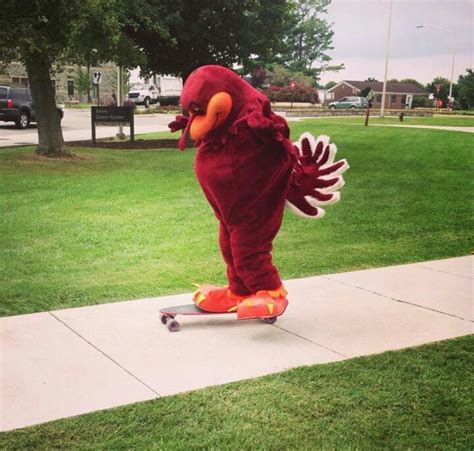 Hokie Bird skating 2013-an awesome mascot!!! | Hokies, Virginia tech ...