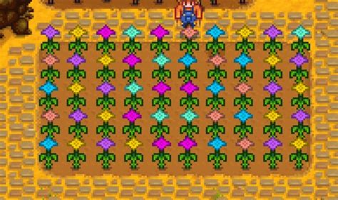 [Top 10] Stardew Valley Best Summer Crops (Ranked) | Gamers Decide