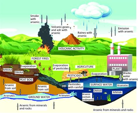 Sources and pathways of arsenic compounds getting into natural waters | Download Scientific Diagram