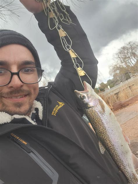 Payson, AZ : r/troutfishing