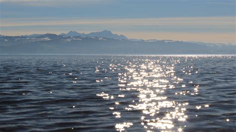 Bilder vom Bodensee, aktuell über das ganze Jahr