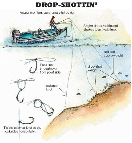 Read how PWT pro Johnnie Candle uses a jig in place of a drop shotting ...