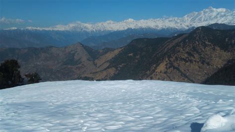 Chopta Tungnath Trek ( Uttarakhand) - Tripoto