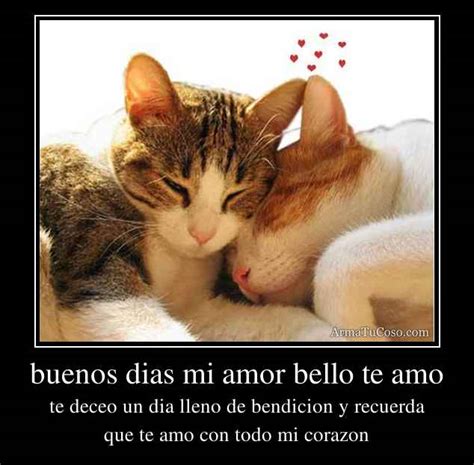 Buenos Dias Mi Amor Quotes. QuotesGram