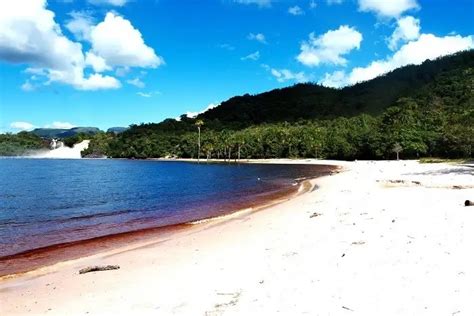 Canaima National Park: A Gateway To Adventure, Thrill, And Venezuelan Wildlife - IMP WORLD