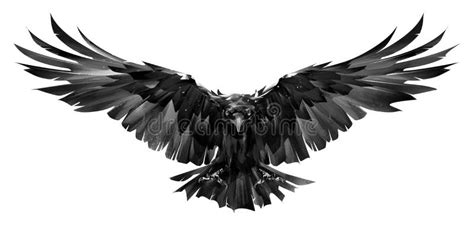 Raven Bird Flying Cartoon Illustration Stock Illustration ...