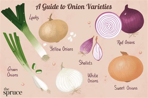 Onions: 7 Different Types and How to Use Them