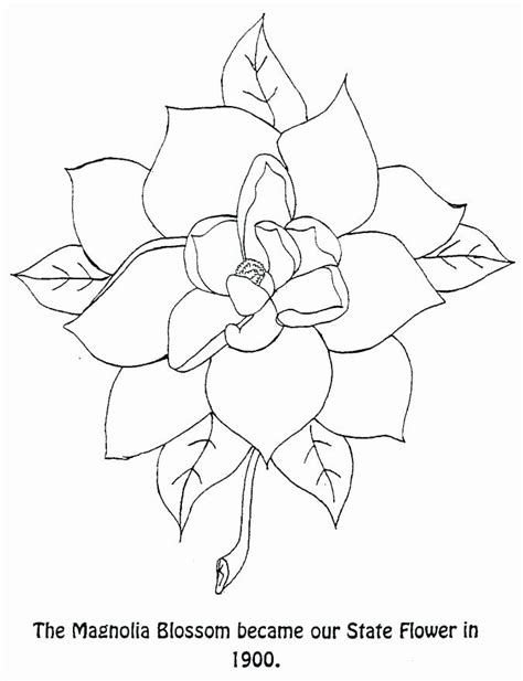 mississippi state flower drawing - Jerrie Barden