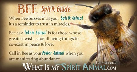 Bee Spirit, Totem, & Power Animal Symbolism and Meaning - What Is My ...