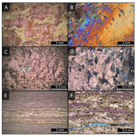 Photomicrographs of main aspects of the lithotypes. Lithotype E: (A ...