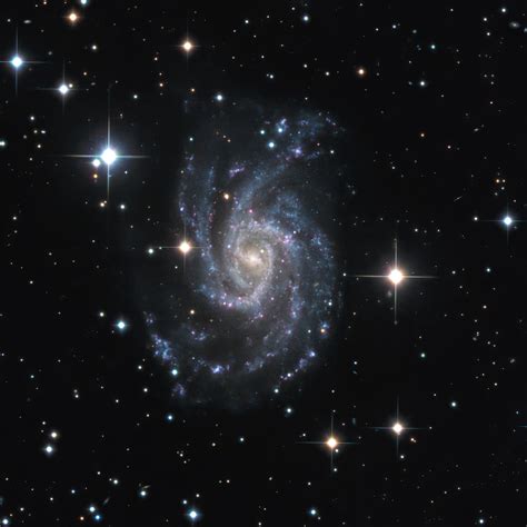 NGC 2835 - Spiral Galaxy in Hydra | Telescope Live