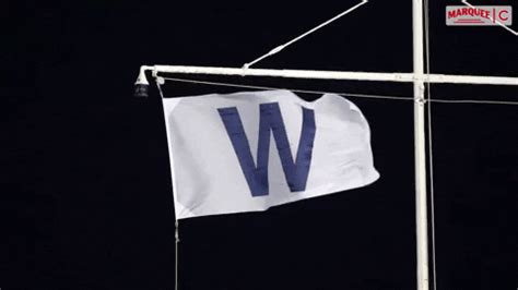 Chicago Cubs GIF by Marquee Sports Network - Find & Share on GIPHY