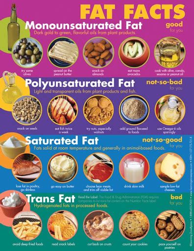 polyunsaturated fats - Google Search | Nutrition tips, Nutrition facts ...