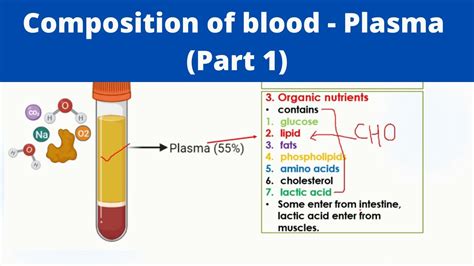 Blood Plasma Composition