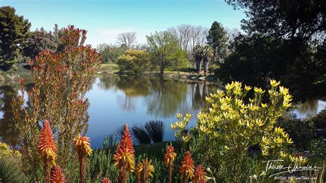 UC Davis Arboretum: free award-winning gardens | HI Travel Tales