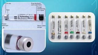 Dental Anesthesia Dental Anaesthesia Techniques & Complications | PPT