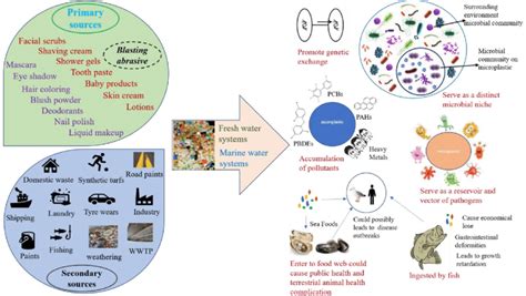 A conceptual diagram showing the sources of microplastic pollution and... | Download Scientific ...