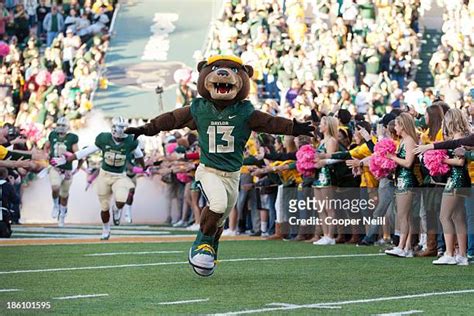 59 Baylor Mascot Bruiser Stock Photos, High-Res Pictures, and Images ...