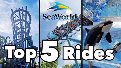 Top 5 SeaWorld Orlando Rides - YouTube