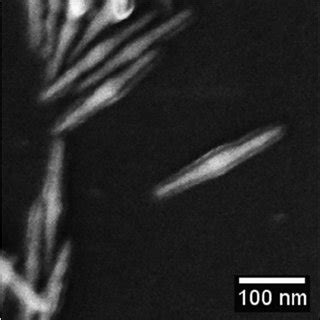 General synthesis route to thiol functionalized silicones for surface ...