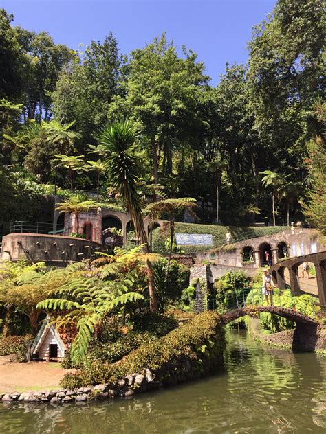 Botanical gardens of Madeira. : r/travel