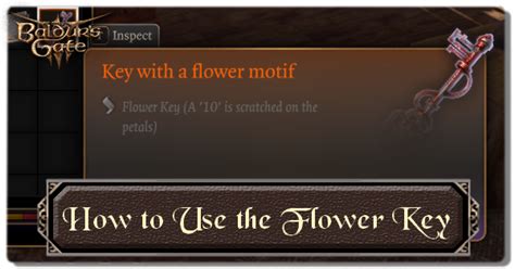 How to Use the Flower Key (Act 3) | Baldur's Gate 3 (BG3)｜Game8