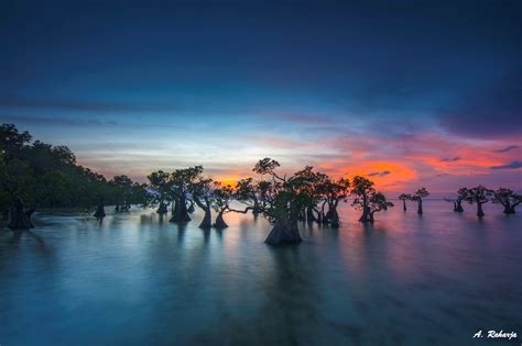 Dancing Trees 3 - Sunset at Walakiri Beach, Sumba Island, Indonesia. | Beach landscape, Sumba ...