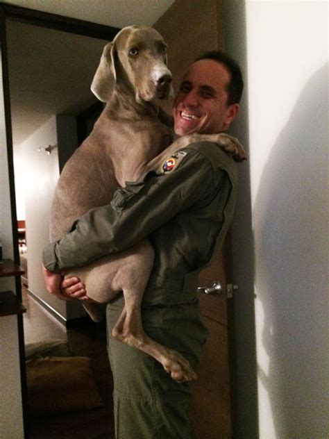 26 Dogs Hugging Their Humans | Bored Panda