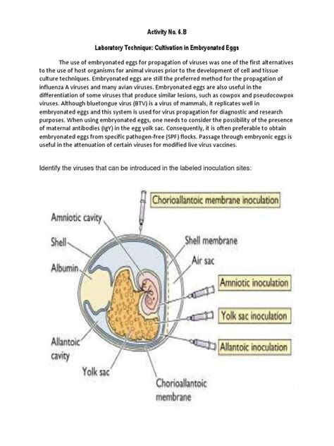 Virology Lab Techniques, Growth Curve and Protein Electrophoresis | PDF | Microscope | Electron ...