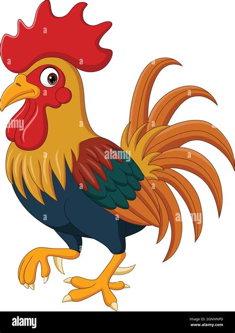 Cartoon funny rooster on white background Stock Vector Image & Art - Alamy