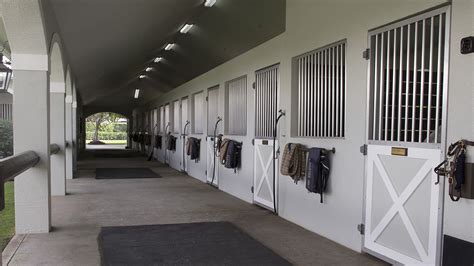 Horse stable lighting: expert advice on your best options