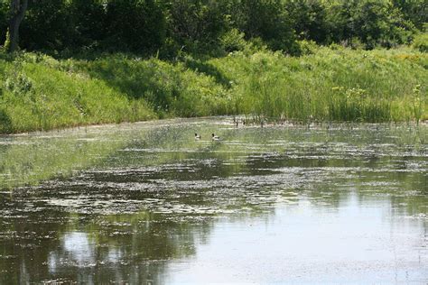 FishSens Magazine | A History of Harm to Onondaga Lake - FishSens Magazine