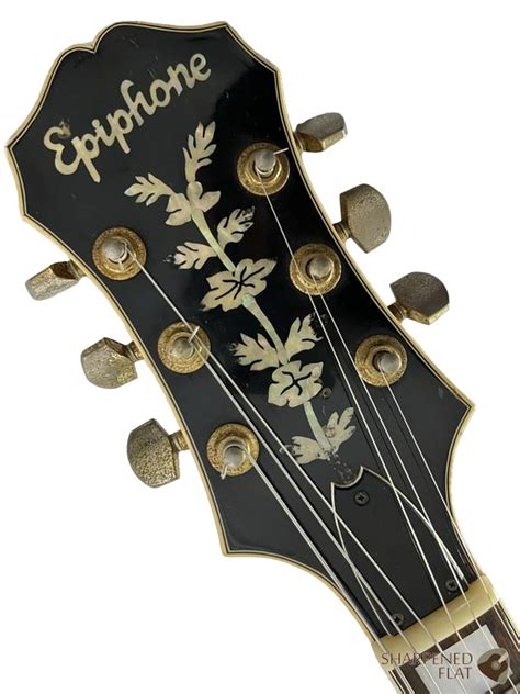 1987 Epiphone Emperor ($616) Sharpened Flat - Japanese Vintage Guitars