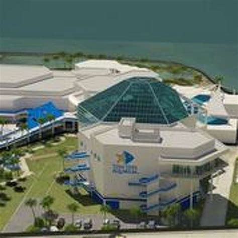 Texas State Aquarium in Corpus Christi vying to be the top